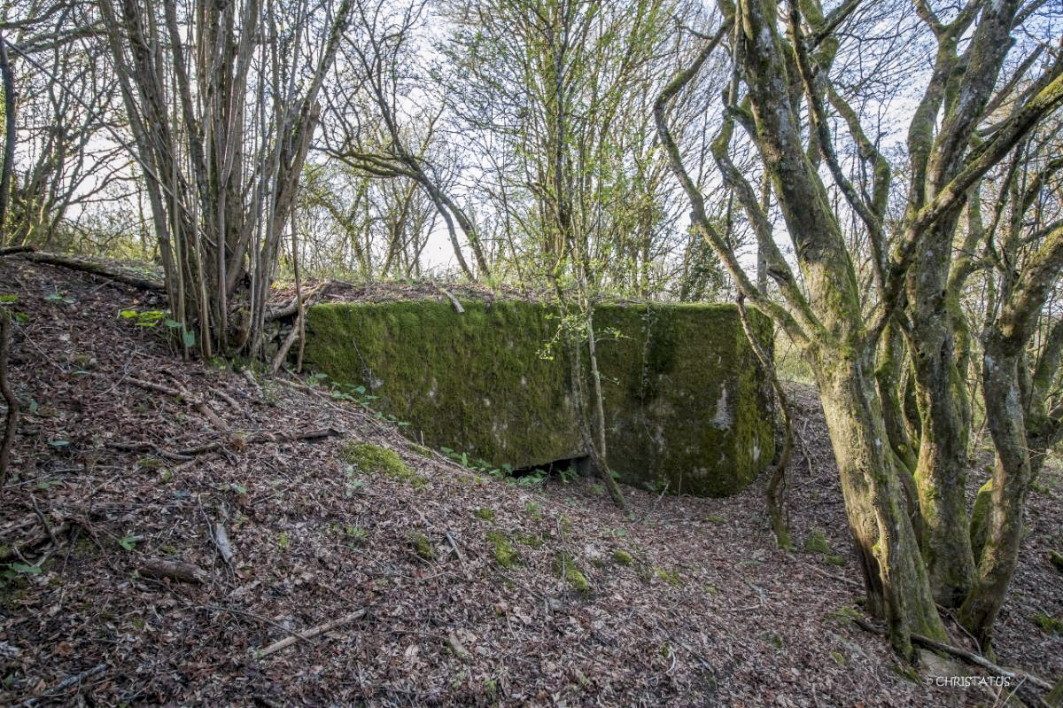 Ligne Maginot - COTE 294BIS - (Blockhaus pour arme infanterie) - 