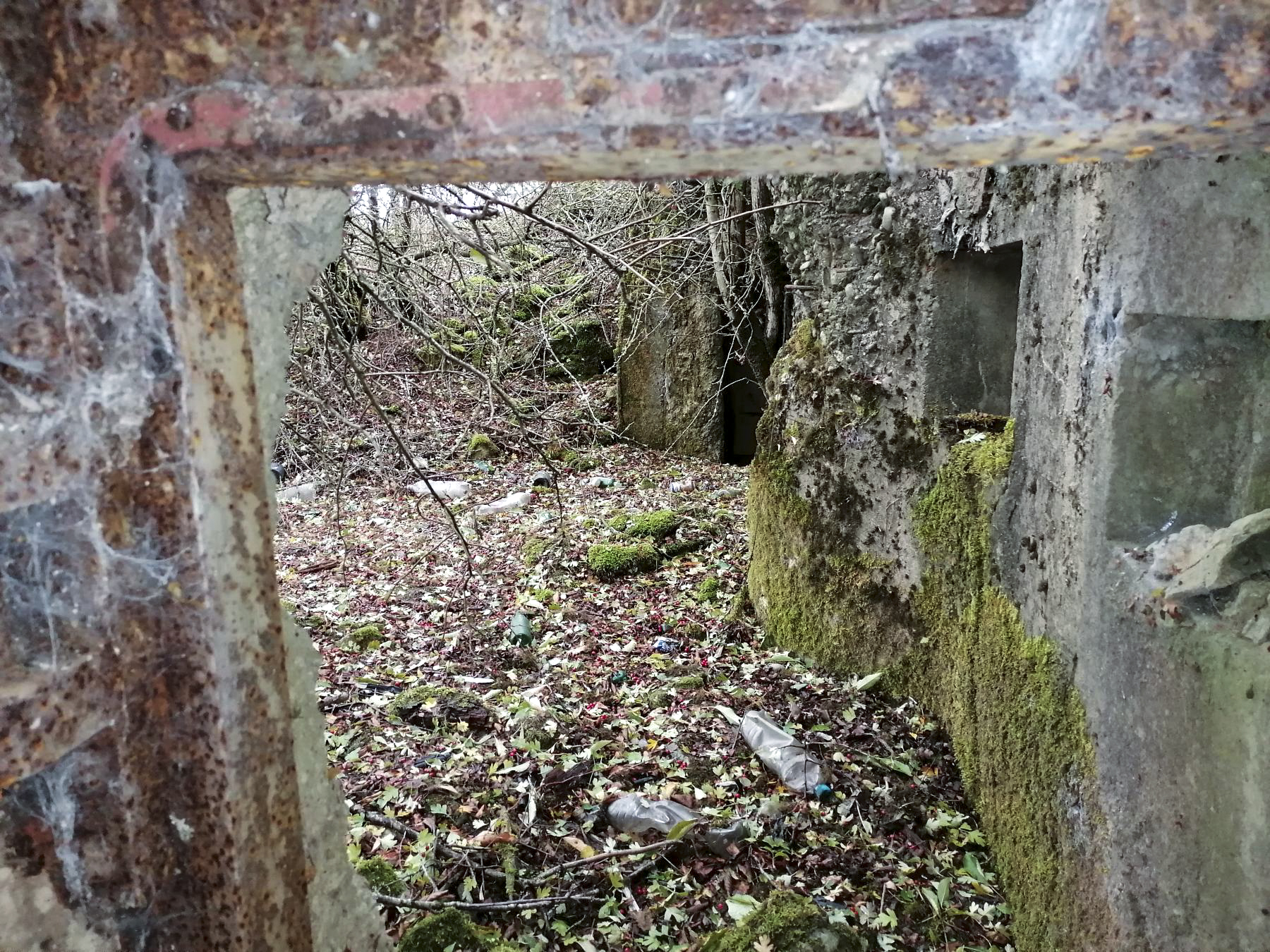 Ligne Maginot - DEHLINGEN NORD - (Central téléphonique d'observation) - L'entrée - Dominique DISS