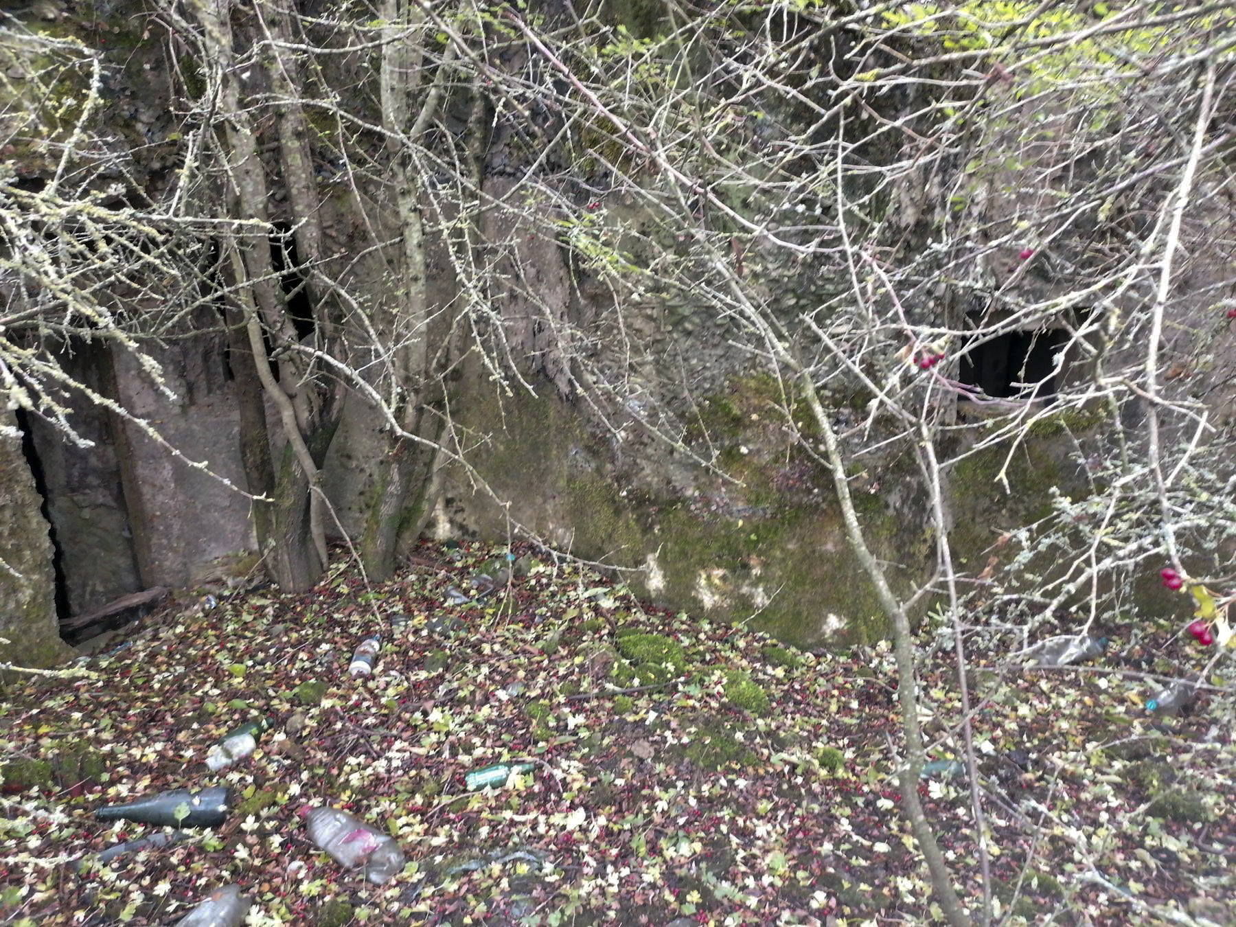 Ligne Maginot - DEHLINGEN NORD - (Central téléphonique d'observation) - Façade du Central d'observation - Dominique DISS