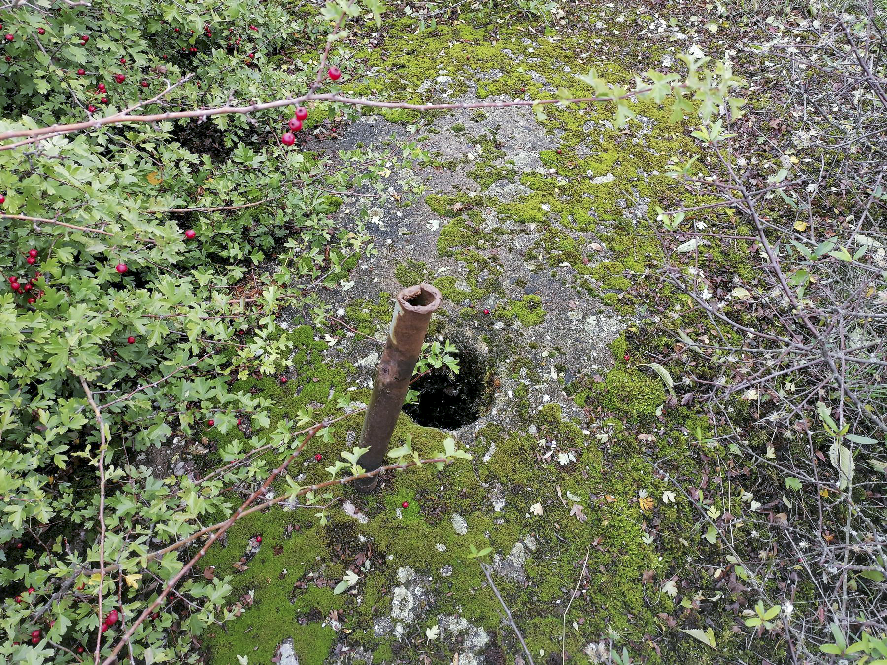 Ligne Maginot - DEHLINGEN NORD - (Central téléphonique d'observation) - Orifice pour périscope ? - Dominique DISS