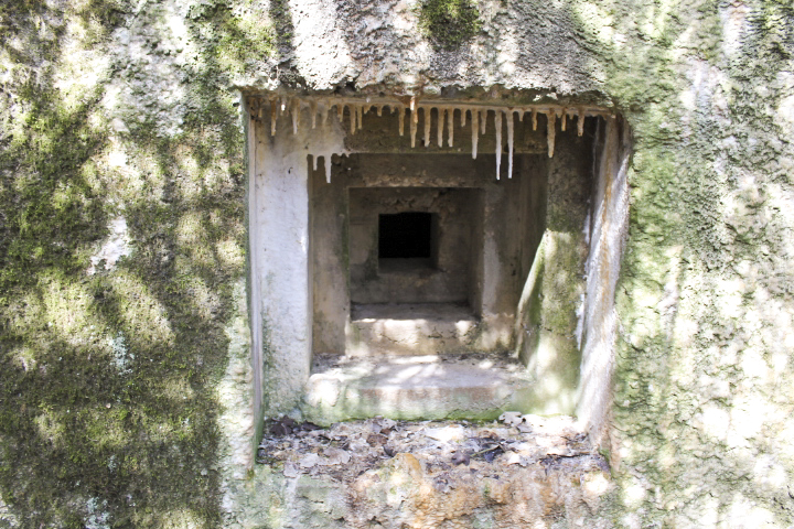 Ligne Maginot - DERCHENBRONN - (Blockhaus pour canon) - Créneau FM de protection des entrées - Christian LENHARD