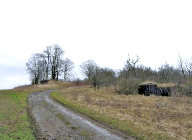 Ligne Maginot - DIEDING 1  (AVANT POSTE) - (Blockhaus pour arme infanterie) - Vue générale - Christian LENHARD