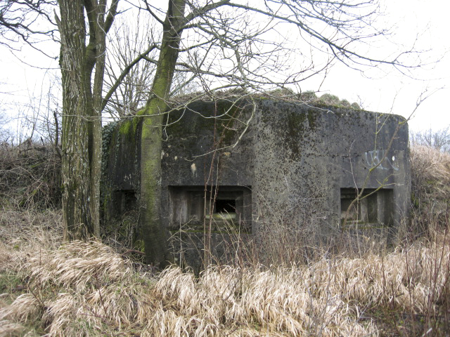 Ligne Maginot - DIEDING 1  (AVANT POSTE) - (Blockhaus pour arme infanterie) - Façade de tir - Christian LENHARD