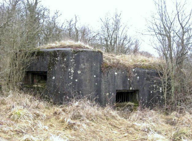 Ligne Maginot - DIEDING 2 (AVANT POSTE) - (Blockhaus pour canon) - Façade de tir - Christian LENHARD