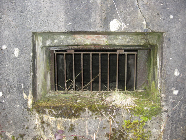 Ligne Maginot - DIEDING 2 (AVANT POSTE) - (Blockhaus pour canon) - Créneau pour canon - Christian LENHARD