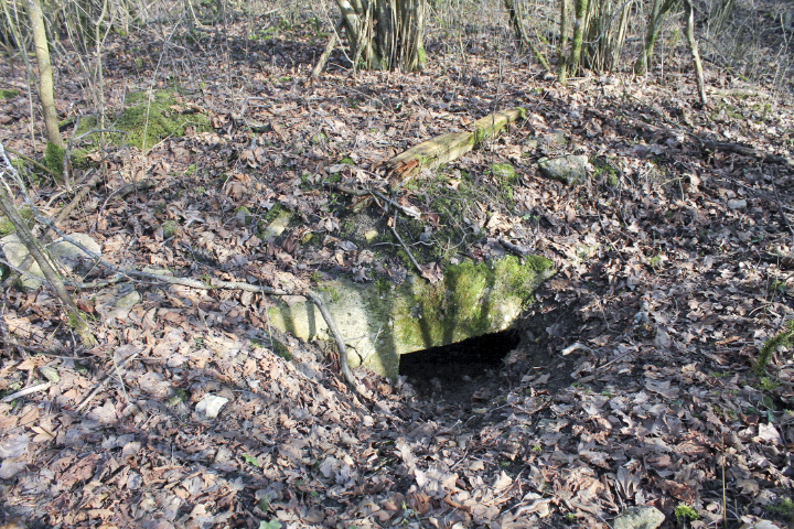 Ligne Maginot - L'entrée de l'abri - L'entrée de l'abri