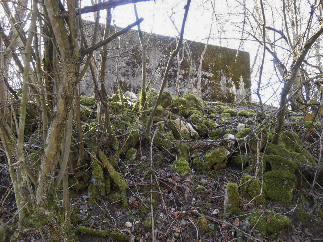 Ligne Maginot - GARE DE KALHAUSEN 3 - (Blockhaus pour arme infanterie) - 