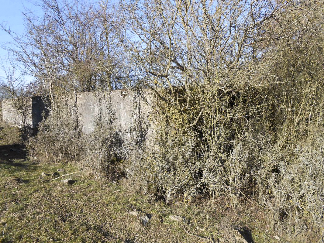 Ligne Maginot - GARE DE KALHAUSEN 3 - (Blockhaus pour arme infanterie) -  - Gérard Kuffler