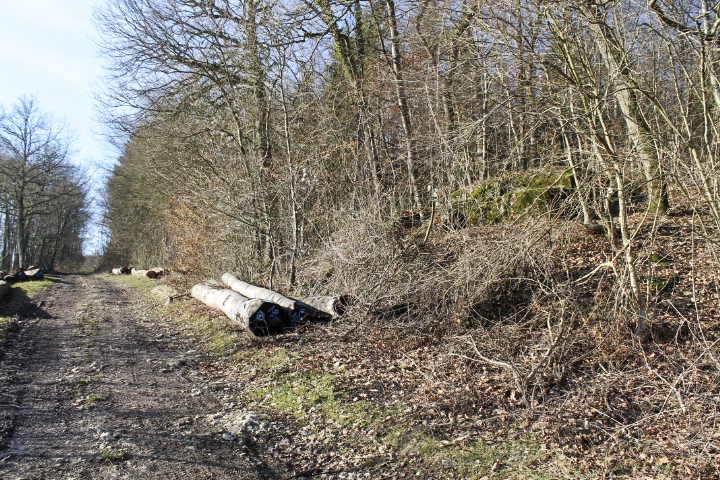 Ligne Maginot - GRAND BOIS (QUARTIER HAUT POIRIER - II/133° RIF) - (PC de Quartier) - Vue générale - Christian LENHARD