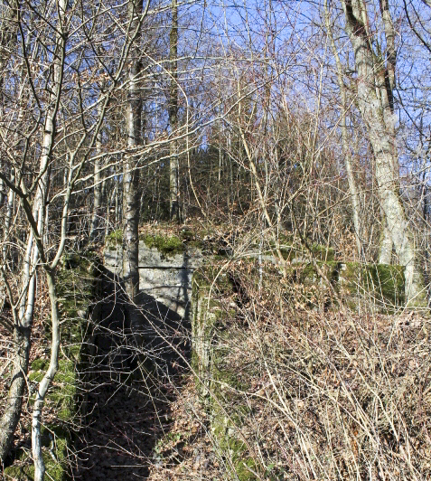 Ligne Maginot - GRAND BOIS (QUARTIER HAUT POIRIER - II/133° RIF) - (PC de Quartier) - Facade arriere - Christian LENHARD