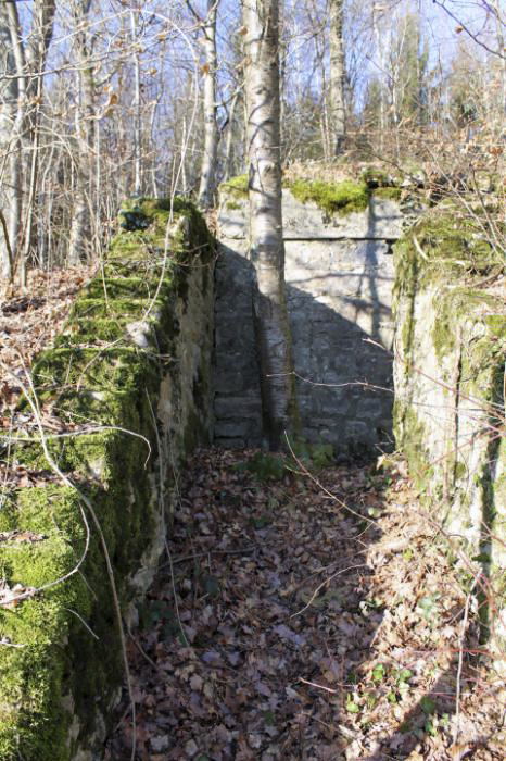 Ligne Maginot - GRAND BOIS (QUARTIER HAUT POIRIER - II/133° RIF) - (PC de Quartier) - L'accès au batiment - Christian LENHARD