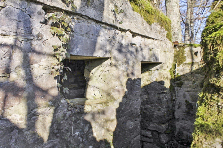 Ligne Maginot - GRAND BOIS (QUARTIER HAUT POIRIER - II/133° RIF) - (PC de Quartier) - L'entrée - Christian LENHARD