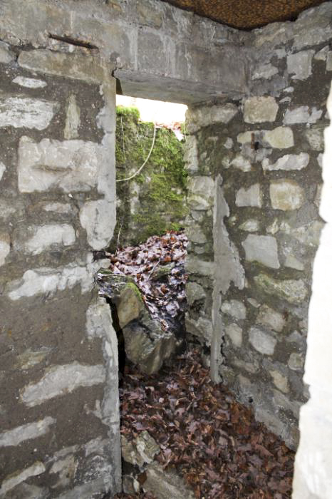 Ligne Maginot - GRAND BOIS (QUARTIER HAUT POIRIER - II/133° RIF) - (PC de Quartier) - Sortie - Christian LENHARD