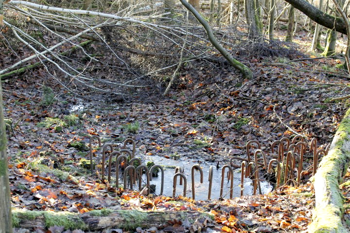 Ligne Maginot - GRAND BOIS 1 - (Blockhaus de type indéterminé) - Radier avec ferrailllage - Christian LENHARD