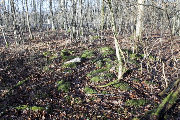 Ligne Maginot - GRAND BOIS 1 - (Blockhaus de type indéterminé) - Sacs de ciment - Christian LENHARD