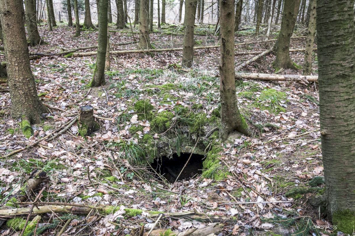 Ligne Maginot - GRAND BOIS 2 ( Abri ) -  - Christian LENHARD