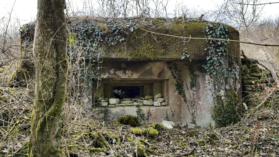 Ligne Maginot - GRAND BOIS 3 - (Blockhaus pour canon) -  - LAUER Markus