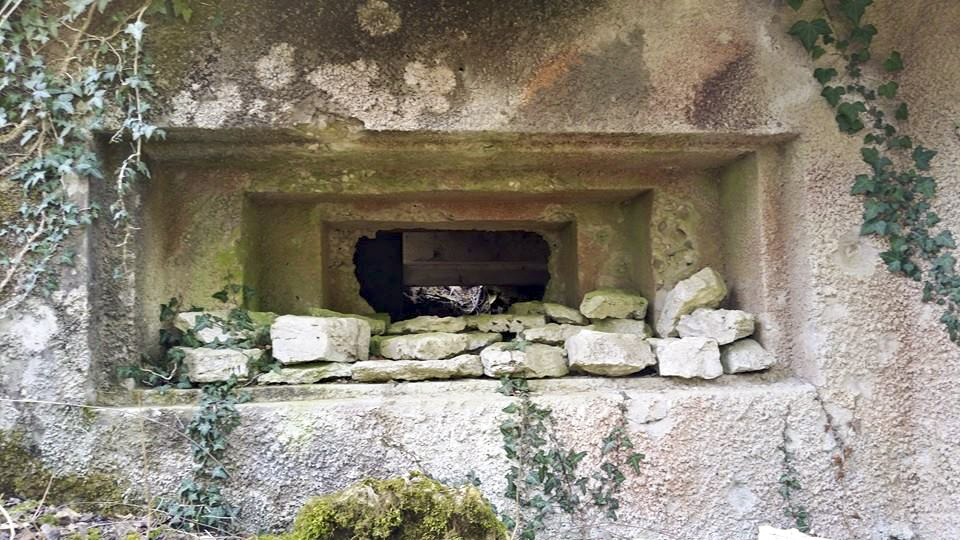 Ligne Maginot - GRAND BOIS 3 - (Blockhaus pour canon) - Le créneau pour le canon de 47 mm vu de l'extérieur - LAUER Markus