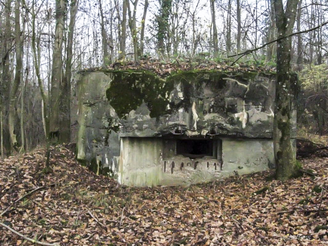 Ligne Maginot - GROSSWALD 1 - (Blockhaus pour arme infanterie) -  - Christian LENHARD