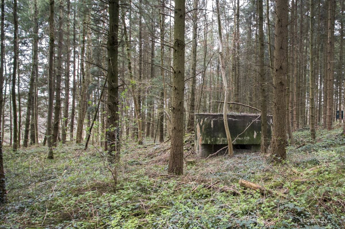 Ligne Maginot - GROSSWALD 3 - (Blockhaus pour arme infanterie) - 