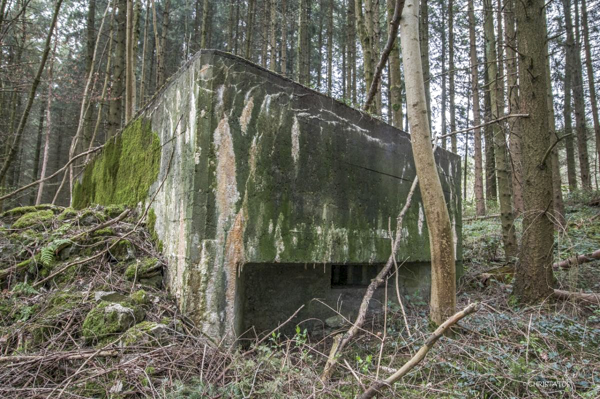 Ligne Maginot - GROSSWALD 3 - (Blockhaus pour arme infanterie) - Flanquement gauche - Christian LENHARD