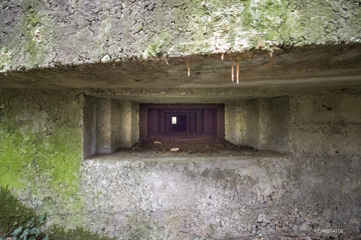 Ligne Maginot - GROSSWALD 3 - (Blockhaus pour arme infanterie) - 