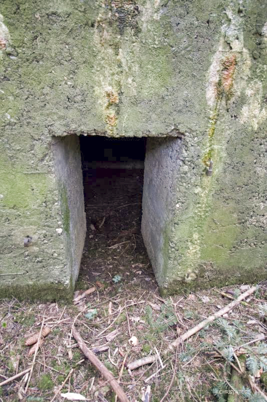 Ligne Maginot - GROSSWALD 3 - (Blockhaus pour arme infanterie) - L'entrée