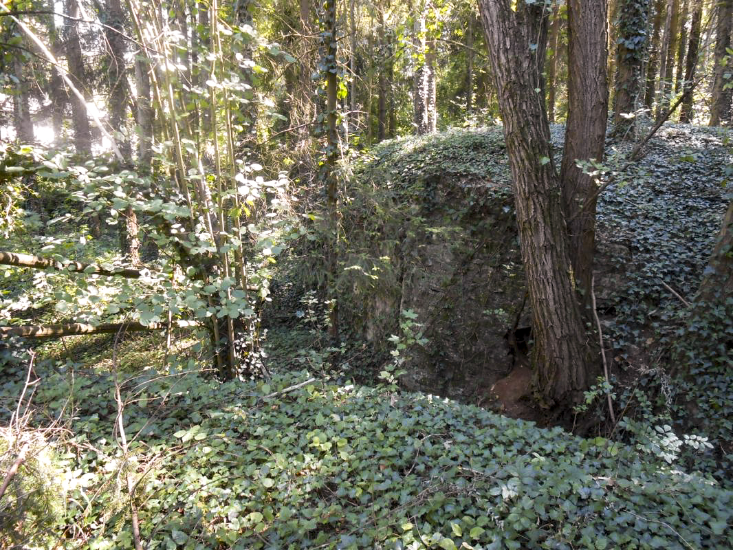 Ligne Maginot - GROSSWALD 6 - (Blockhaus pour arme infanterie) - Vue générale
