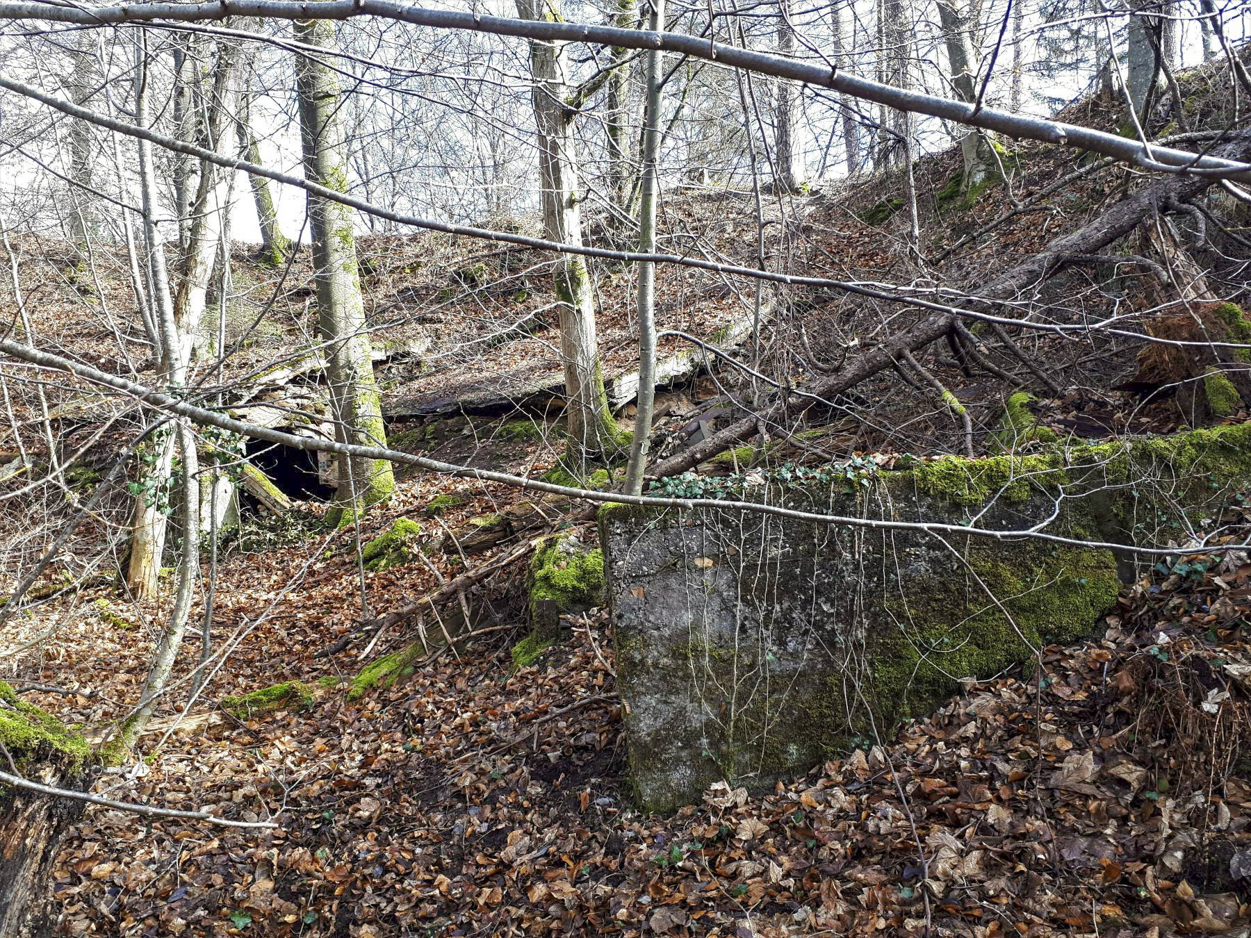 Ligne Maginot - ERZLACH - (1/69° RAMF) - (PC) - Le groupe de 3 alvéoles au pied du ravin