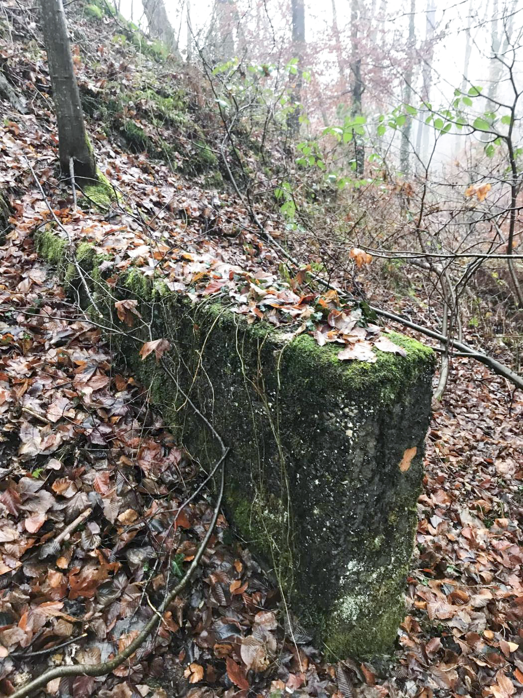Ligne Maginot - ERZLACH - (1/69° RAMF) - (PC) - Abri 3