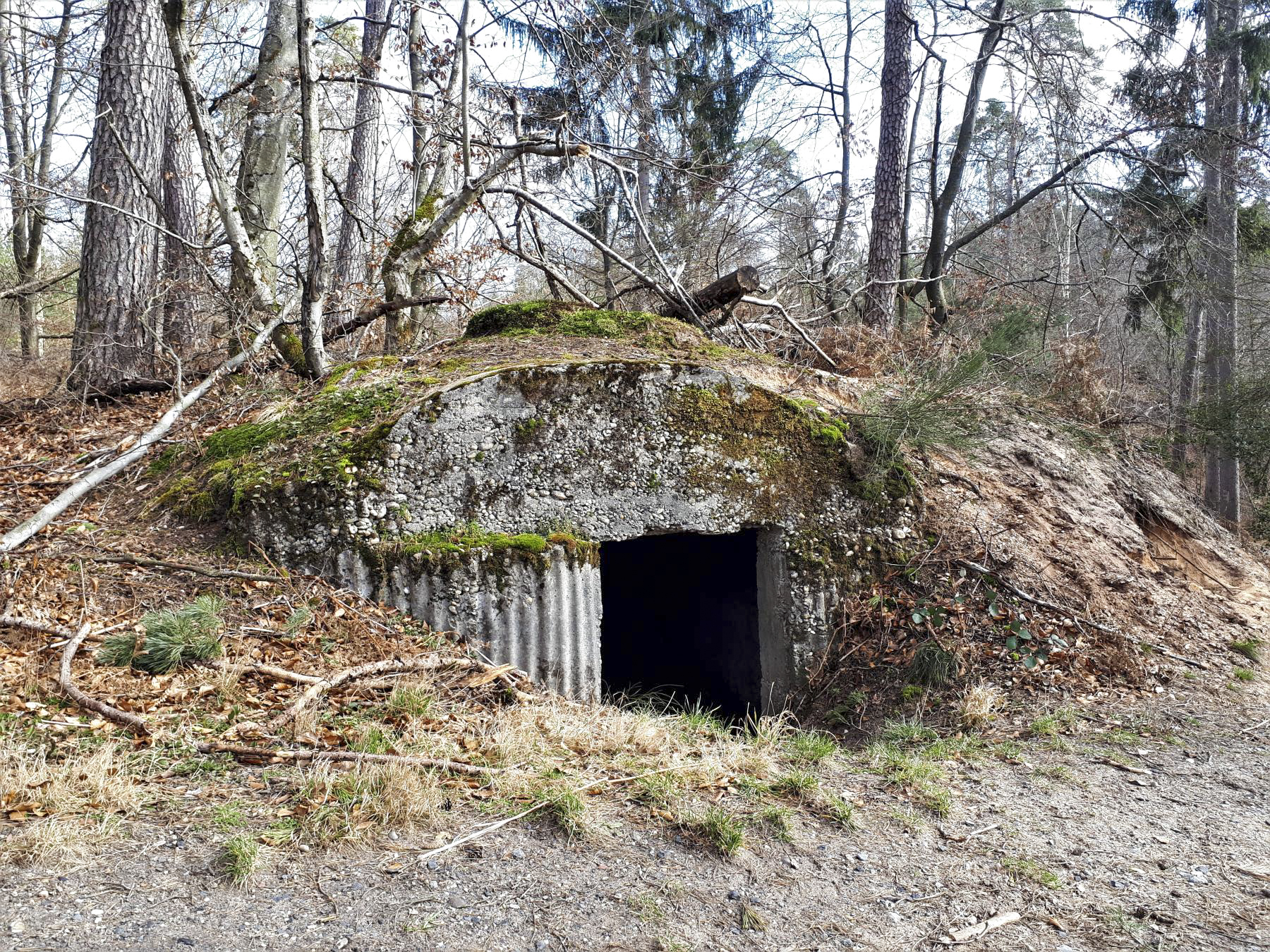 Ligne Maginot - ERZLACH - (1/69° RAMF) - (PC) - PC 2