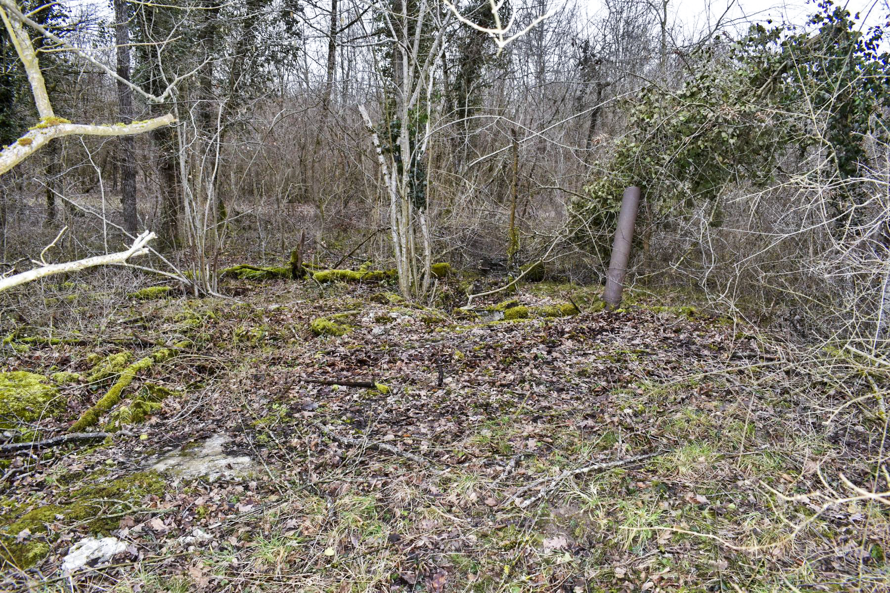 Ligne Maginot - DARIUS (I/316° RAP) - (Position d'artillerie préparée) - Vue du dessus, au fond le tuyau de cheminée