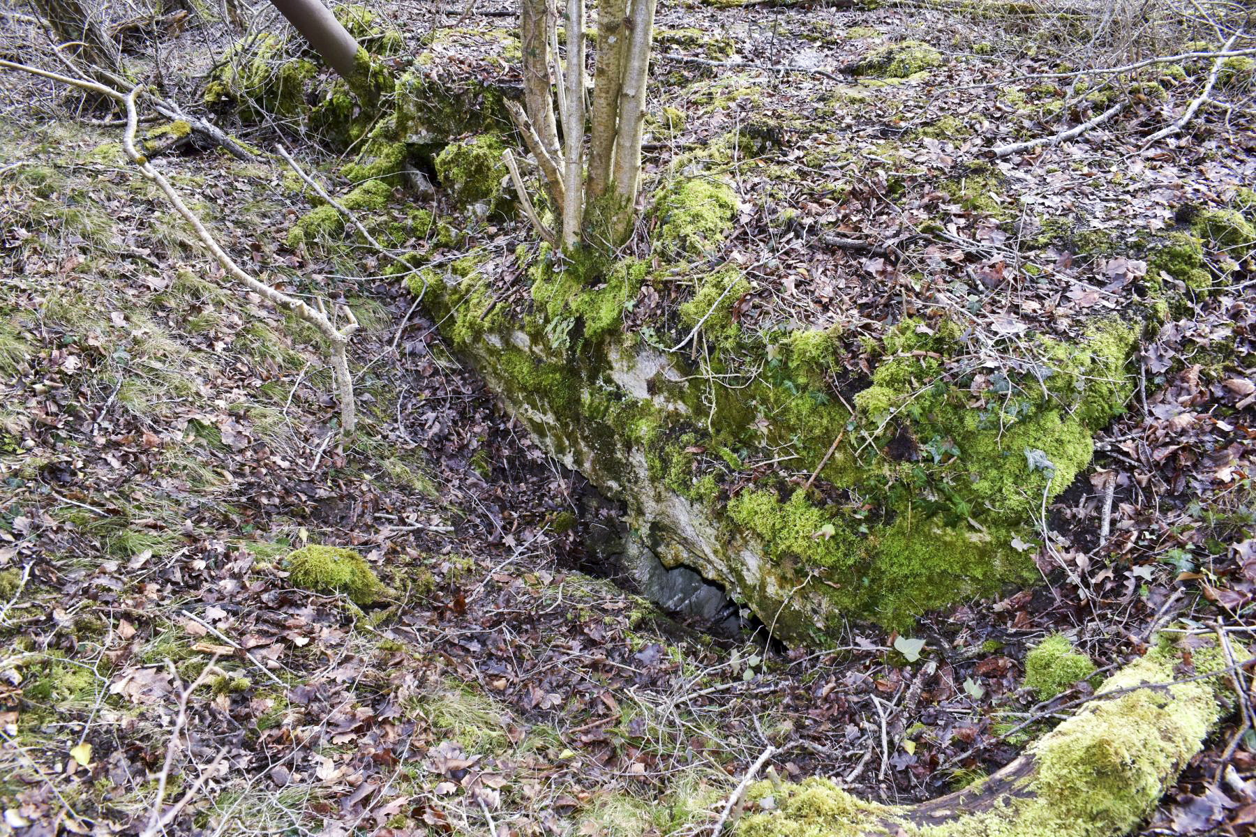 Ligne Maginot - DARIUS (I/316° RAP) - (Position d'artillerie préparée) - Entrée nord