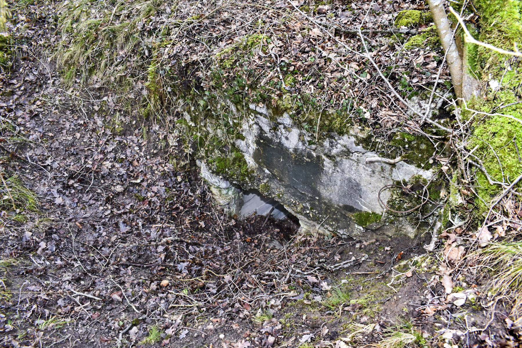 Ligne Maginot - DARIUS (I/316° RAP) - (Position d'artillerie préparée) - Entrée sud