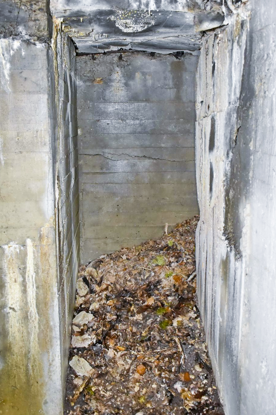 Ligne Maginot - DARIUS (I/316° RAP) - (Position d'artillerie préparée) - Entrée sud coté intérieur