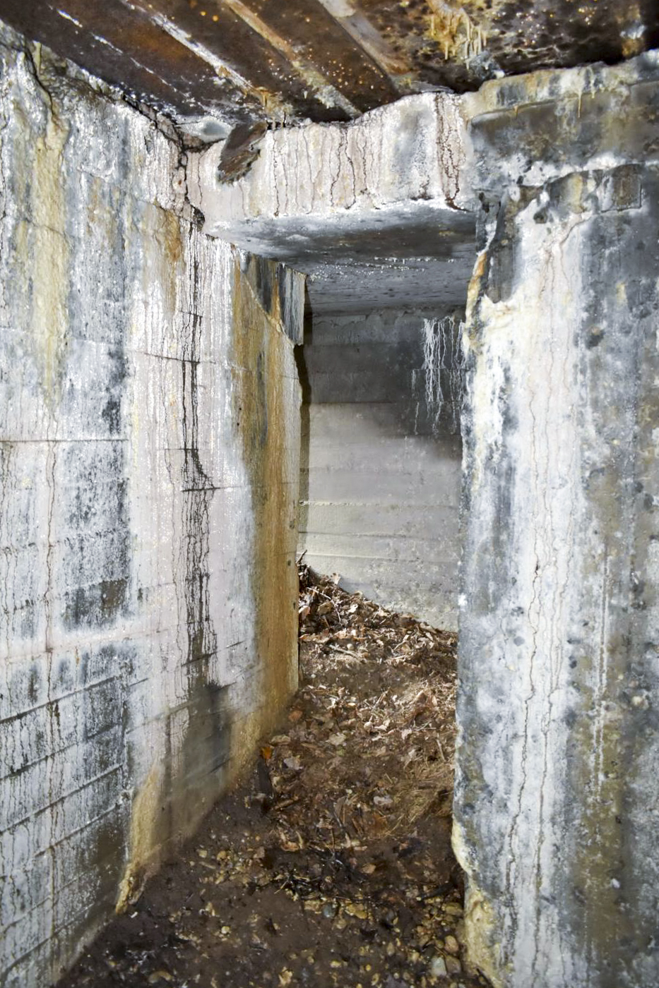 Ligne Maginot - DARIUS (I/316° RAP) - (Position d'artillerie préparée) - Entrée nord coté intérieur - Daniel Froehly