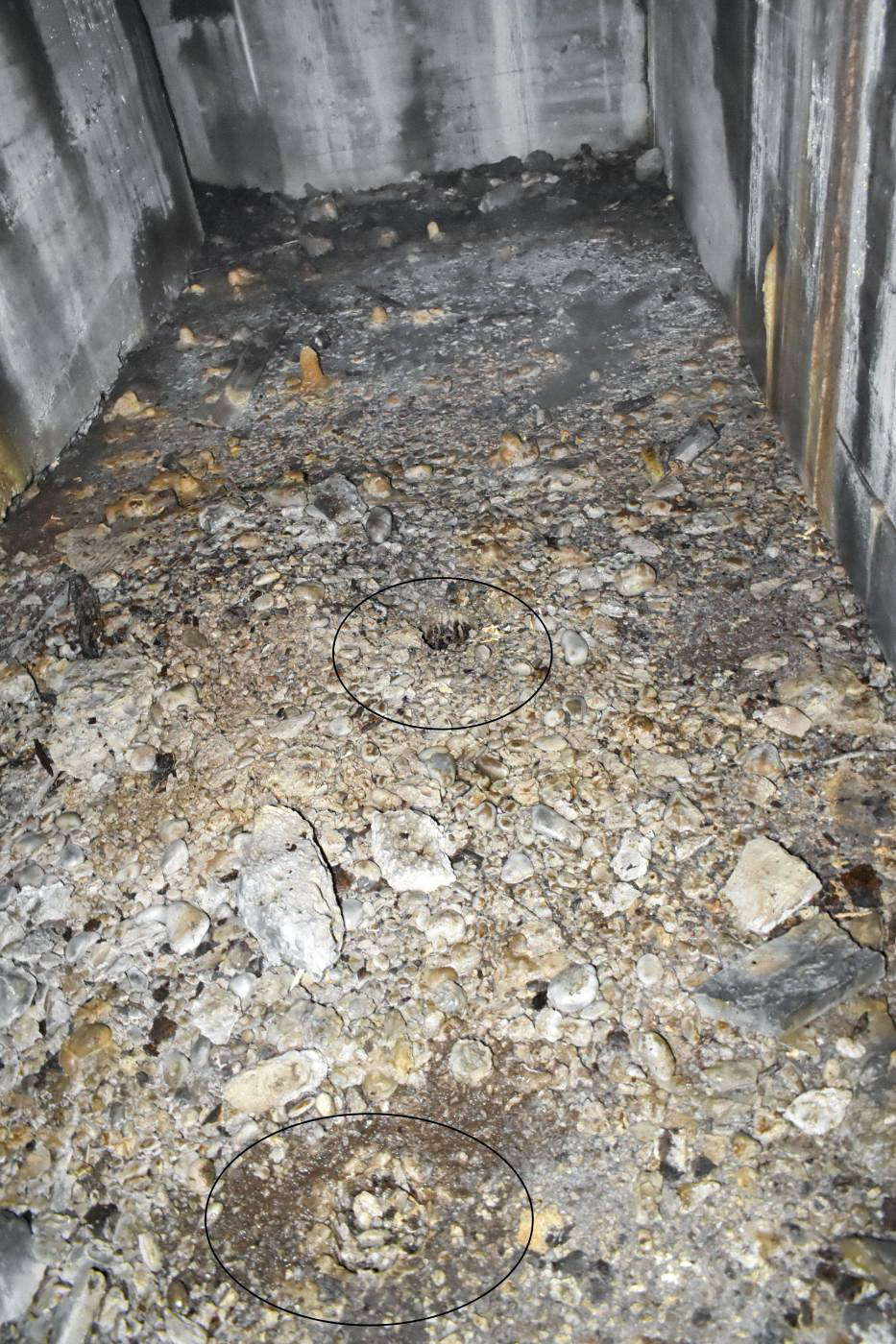 Ligne Maginot - DARIUS (I/316° RAP) - (Position d'artillerie préparée) - Le sol avec deux réservations (cerclées)