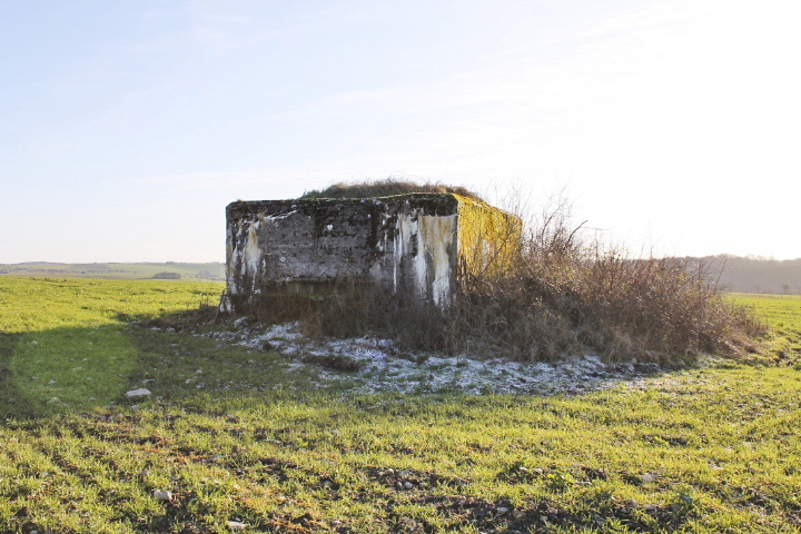 Ligne Maginot - PIFFERSRAEDCHEN 1 - (Blockhaus pour arme infanterie) - Façade de tir - Christian LENHARD
