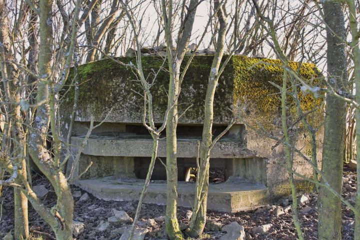 Ligne Maginot - PIFFERSRAEDCHEN 2 - (Blockhaus pour arme infanterie) - Les créneaux