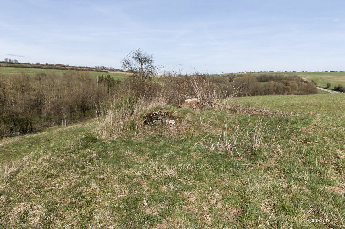Ligne Maginot - SALWIESE 1 - (Blockhaus pour arme infanterie) - 