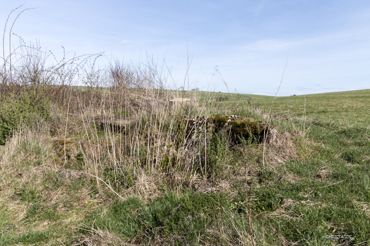 Ligne Maginot - SALWIESE 1 - (Blockhaus pour arme infanterie) - 