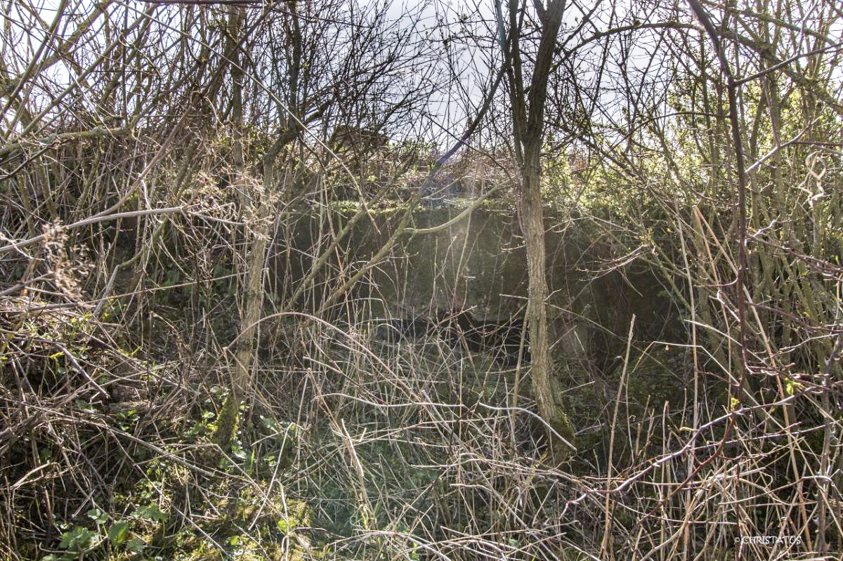 Ligne Maginot - SALWIESE 1 - (Blockhaus pour arme infanterie) - 