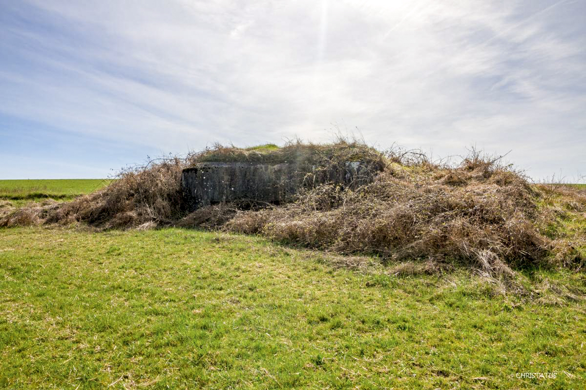 Ligne Maginot - SALWIESE 3 - (Blockhaus pour arme infanterie) - 