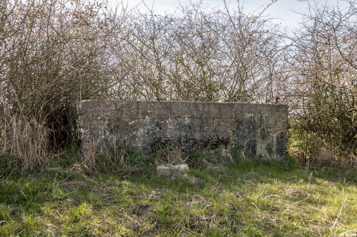 Ligne Maginot - SALWIESE 4BIS - (Blockhaus pour arme infanterie) - 