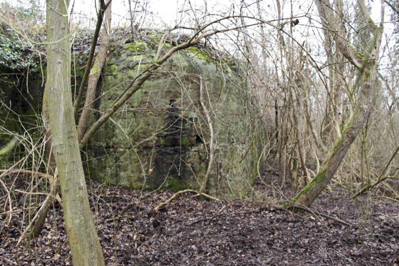 Ligne Maginot - POINT D'APPUI PK119 -1 - (Abri) - Façade frontale de l'abri
Le talus de terre qui la recouvrait a été enlevé, probablement pendant les travaux de canalisation du Rhin