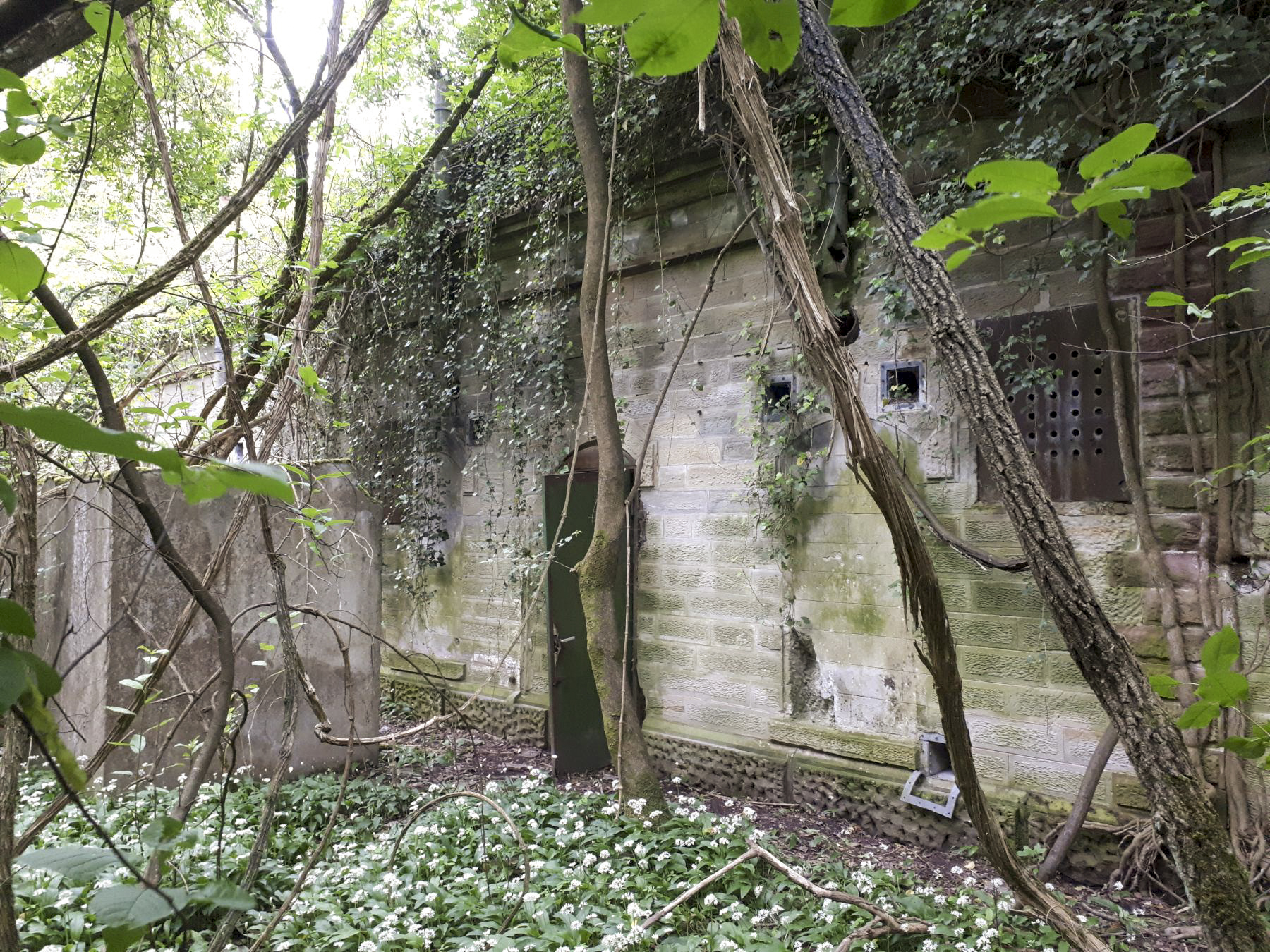 Ligne Maginot - POINT D'APPUI PK119 -1 - (Abri) - Une des deux entrées