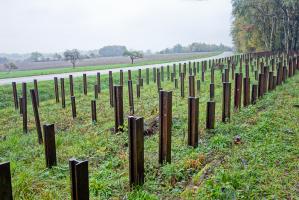 Ligne Maginot - SIMSERHOF - (Ouvrage d'artillerie) - Réseau de rails antichar