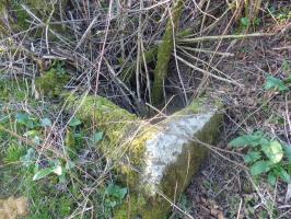 Ligne Maginot - CHAMPEL - (Cuve pour arme d'infanterie) - Vue rapprochée de la cuve. On voit que le béton a été mangé sur une grande partie puisqu'il ne subsiste plus que la conduite d'accès à la tourelle avec son échelle (non visible sur la photo )