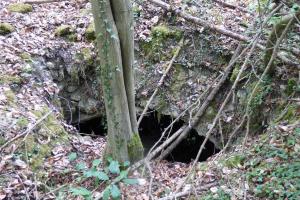 Ligne Maginot - GUNGLINGERWALD 5 - (Abri) - Entrée de l'abri