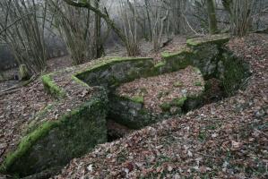 Ligne Maginot - MEISTERBUSCH 9 - (Cuve pour arme d'infanterie) - La cuve